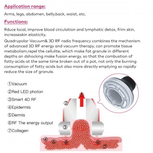 SQ126A Max, 11in1 80K Lipolaser Cavitation Machine, Multi-Polar RF Vacuum Cupping Cold Head Laser BIO-LED EMS Body Shaping Skin Lifting Anti-Aging Beauty Machine For Salon Home Use, US Plug