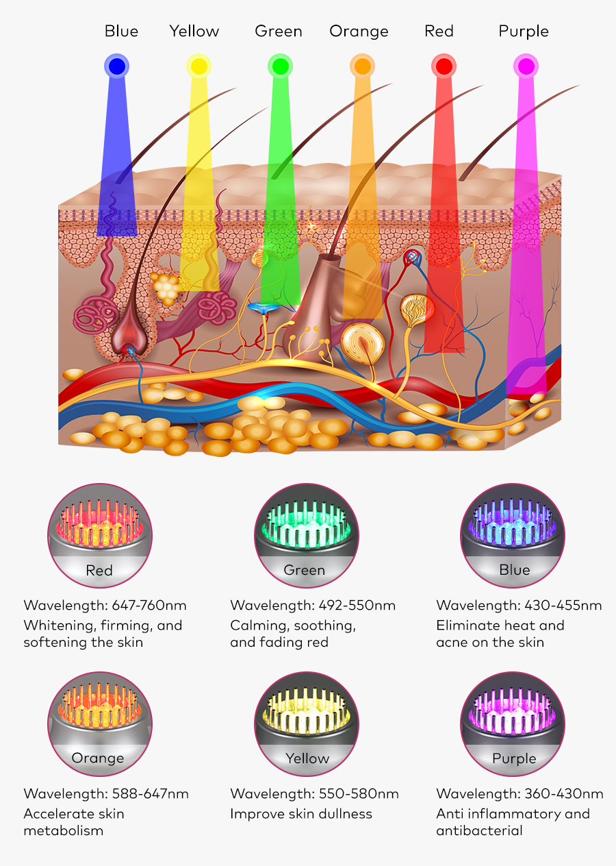 7-Color LED Light Therapy